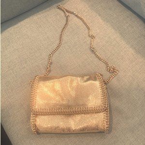 Steve Madden Rose Gold Bag